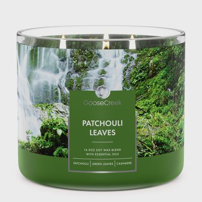 3 Wick Candle Patchouli Leaves