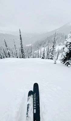 Ferreol Pionnier 104 1.0 Downhill Skis