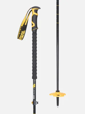Downhill, Backcountry &amp; Touring Ski Poles