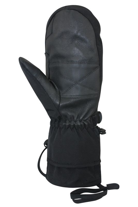 Auclair Powder King Mitts - Men