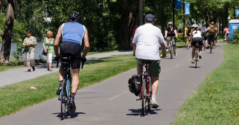 Hybrid Bike Rental