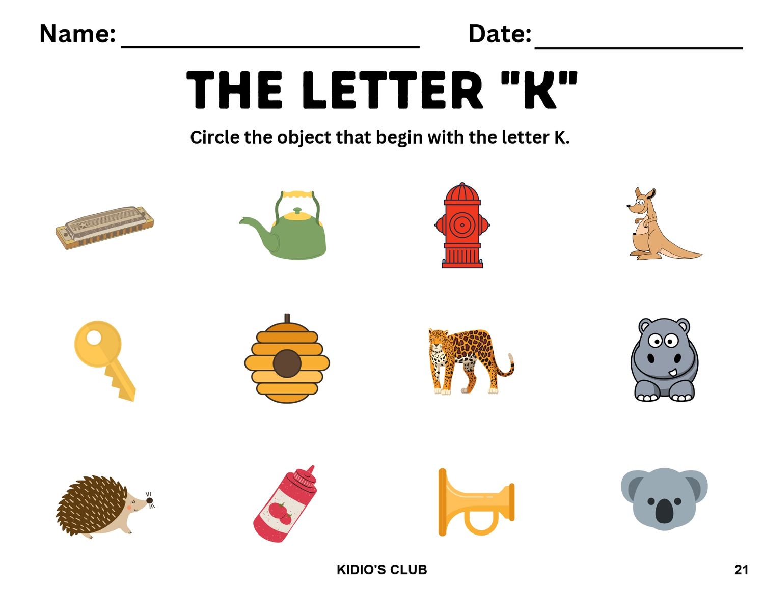 Alphabet &amp; Sounds Explorer 116 Pages.