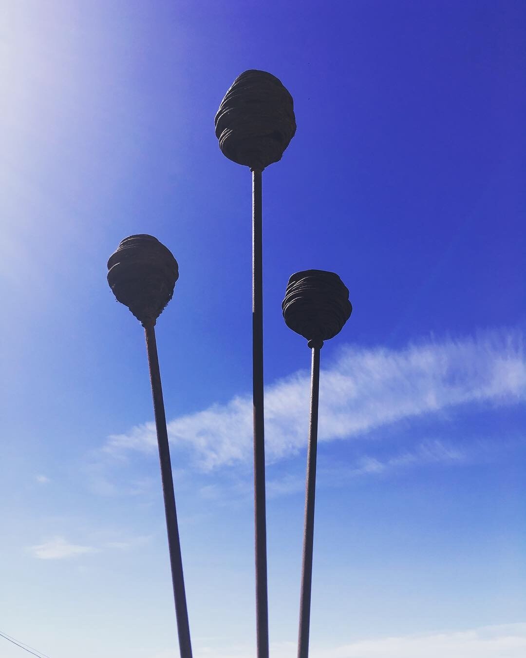 Waikura Wand Trio -  3 for $129