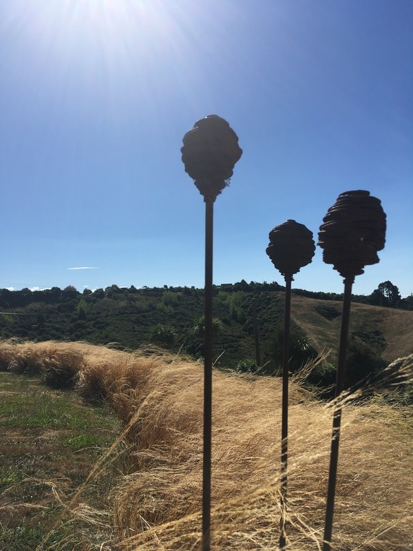 Waikura wand trio in a line of NZ tussock grasses. New Zealand made Metal garden Art by Grounded Art NZ.