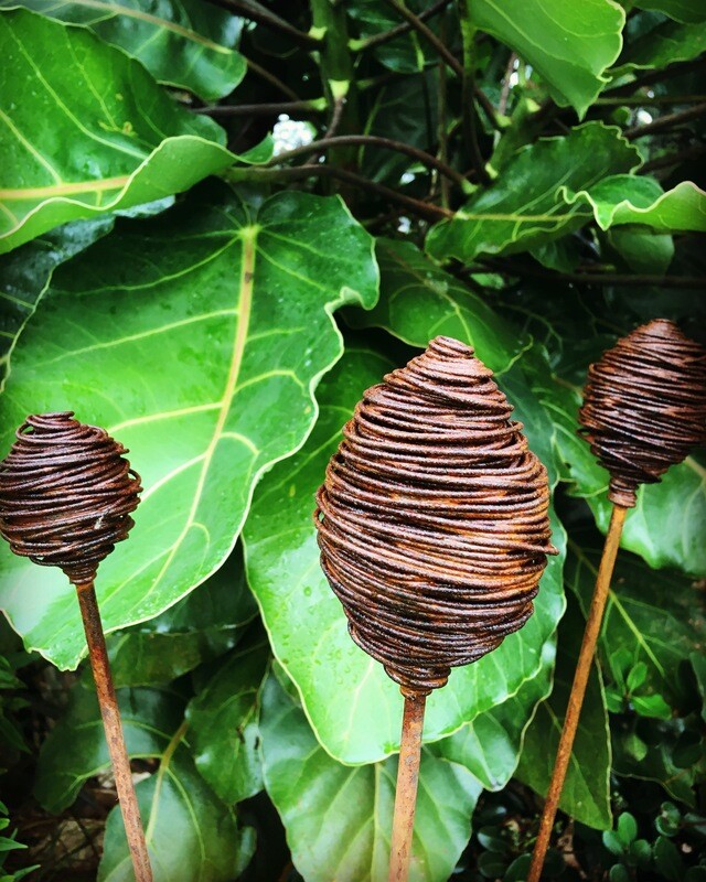 3 Rusty Waikura Wands made in NZ by Grounded Art NZ located in front of the lush green leaves of the Native NZ Puka Plant.