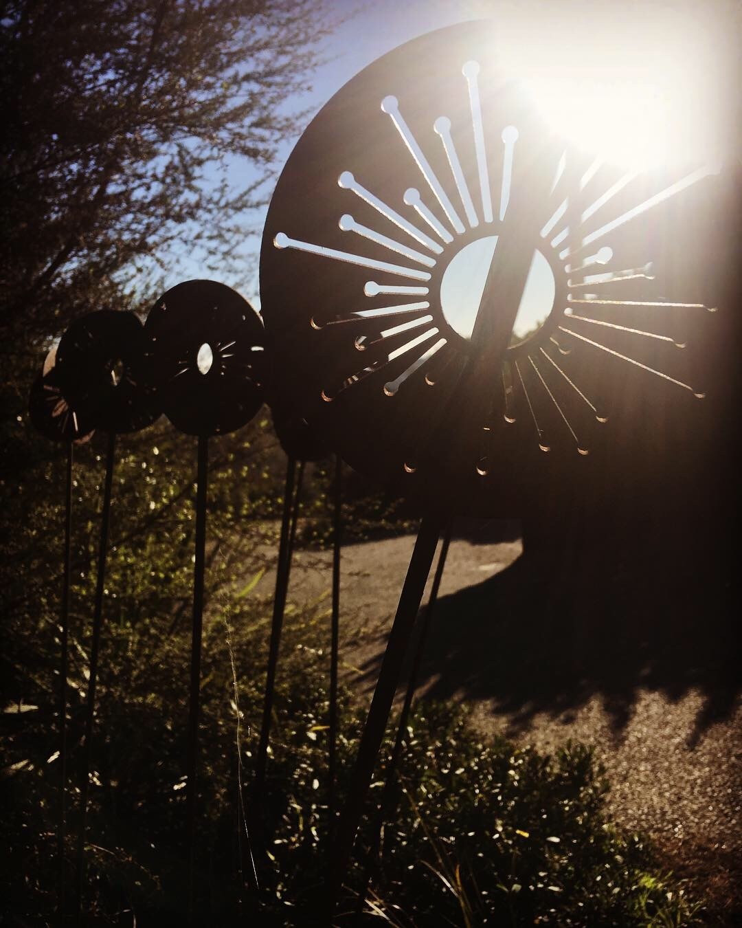 Light filtering through the intricate design of Grounded Art NZ's Corten Allium wands in a NZ garden setting.