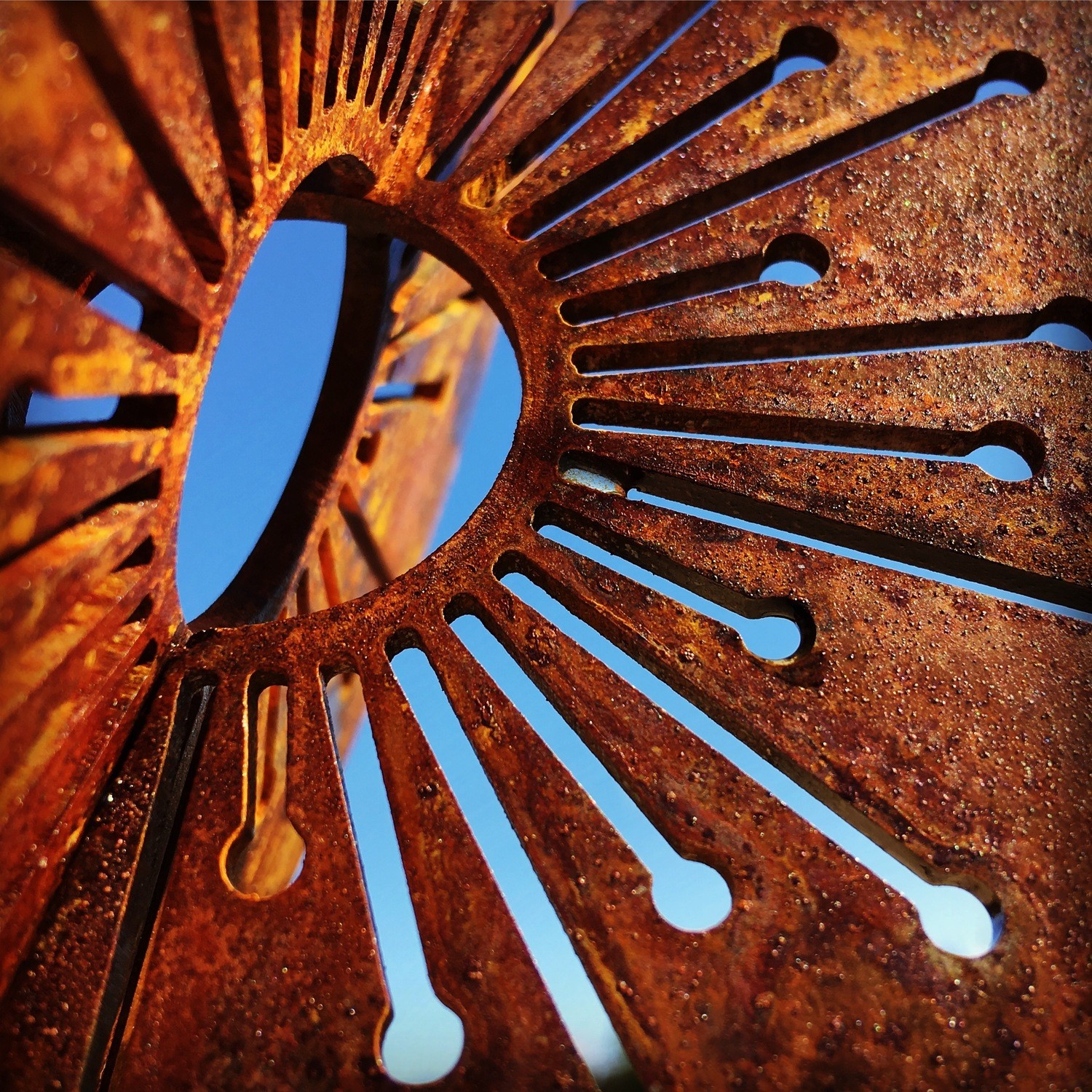 Detailed close up of Corten Allium wands by Grounded Art NZ showing the fine floret details of the Allium globe. 