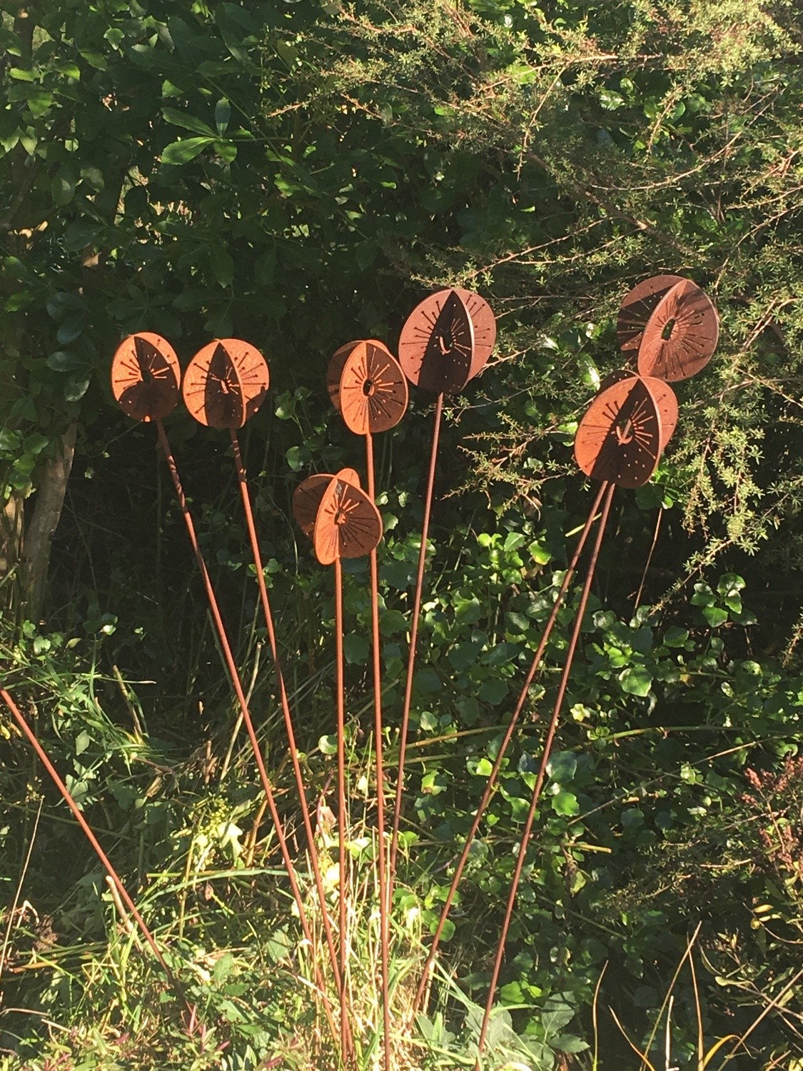 Large cluster of Corten Allium wands in a lush green Native New Zealand garden. Grounded Art NZ garden Art.