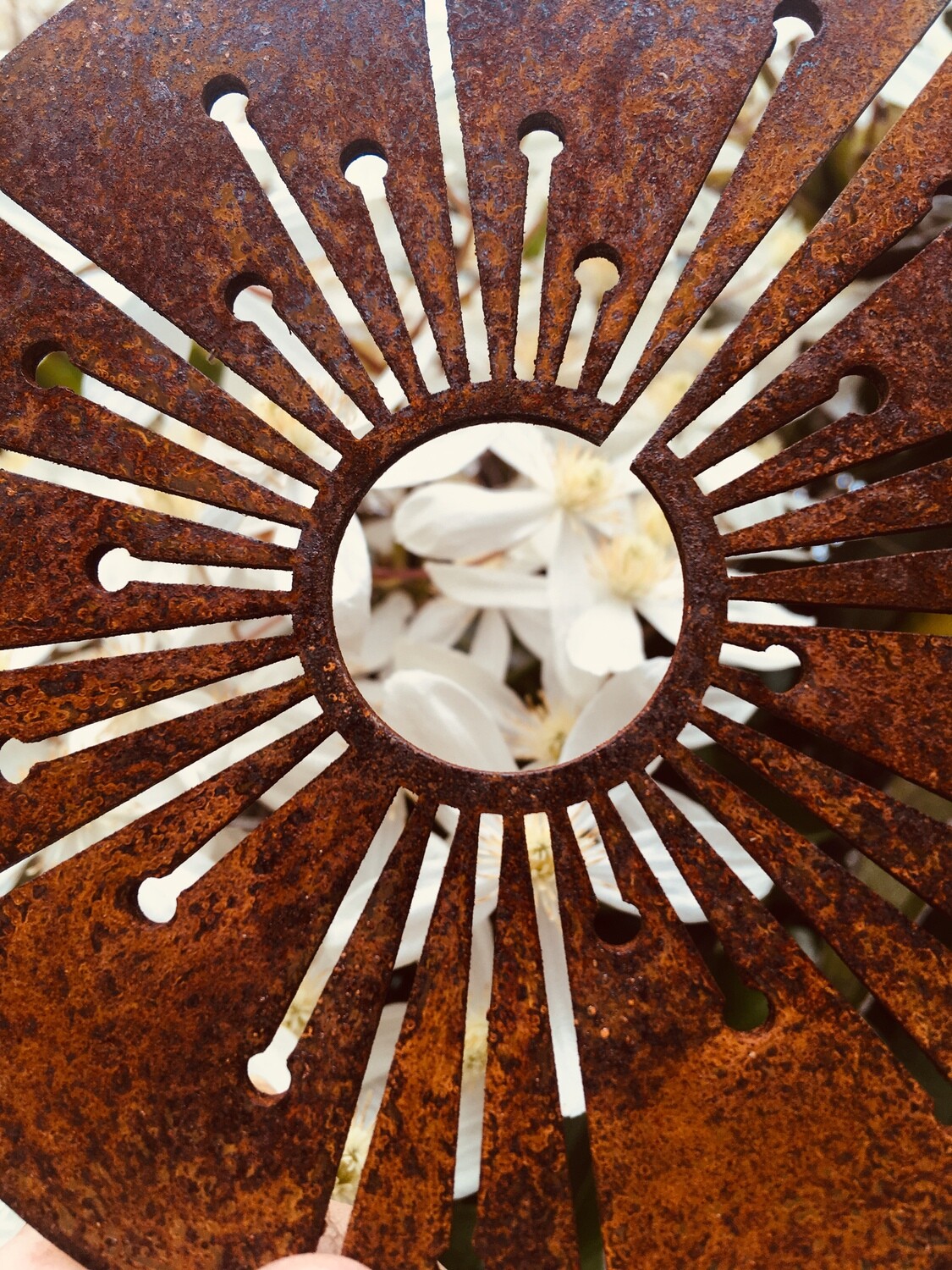 Close up of the floret detail from Corten Spinning Alliums by Grounded Art NZ. Rusty Patina of the Corten Steel. Otago, NZ.