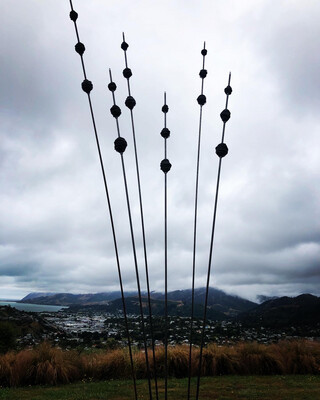 Large Rusty Kakano (seedpods) 1800mm - 2250mm