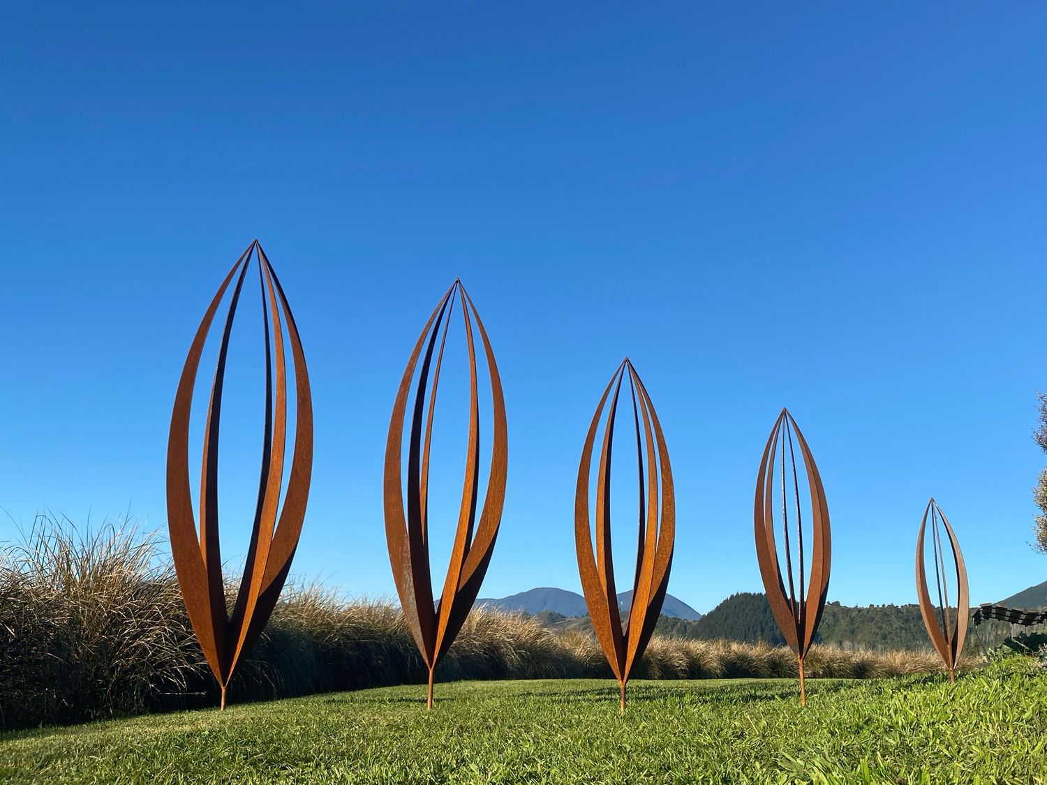 Rusty Corten Pods by Grounded Art NZ on a manicured lawn. 5 sizes from largest on the left to the smallest on the right.