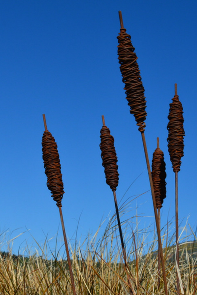 A cluster of 5 rusty wire bulrushes by Grounded Art NZ. Naturalistic and displayed in a group of varying heights.