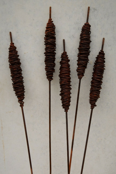 Rusty Raupo (Bulrushes) -  1500mm