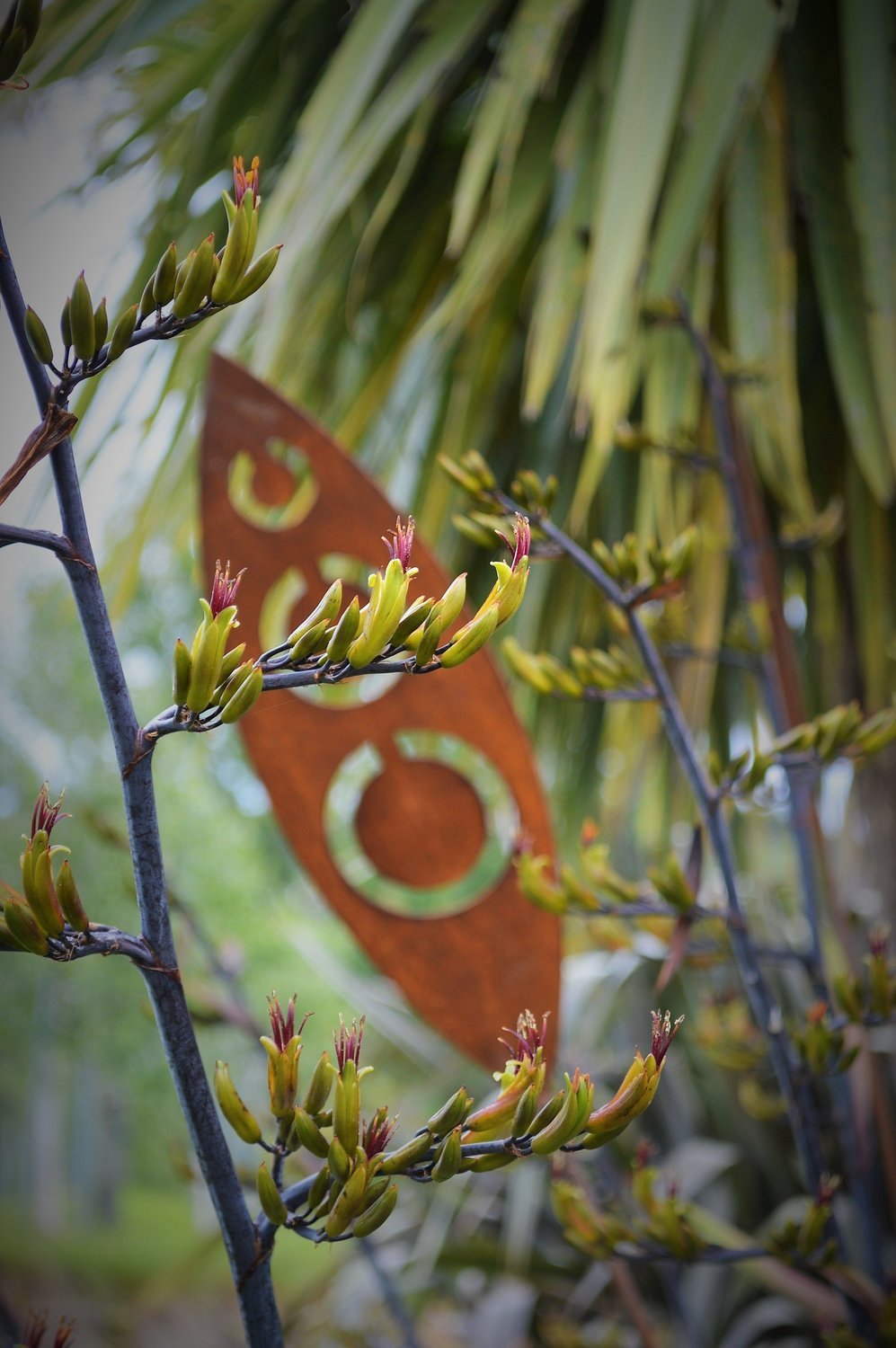 Flax flowers and pods with a Corten Steel Spear in Tribal design by Grounded Art NZ. Lush NZ Native plantings and landscape. 
