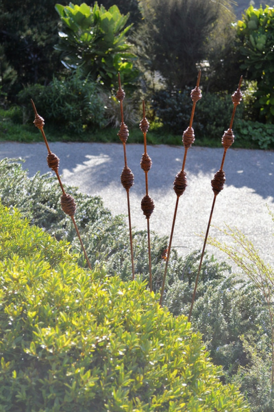 5 Rusty Seedpods (Kakano) made by Grounded Art NZ staked into a garden bed containing native NZ plants and shrubs.