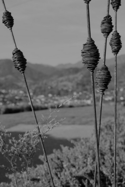 Black and White close up of Rusty seedpods. Native NZ wire garden art. Handmade in New Zealand by Grounded Art NZ