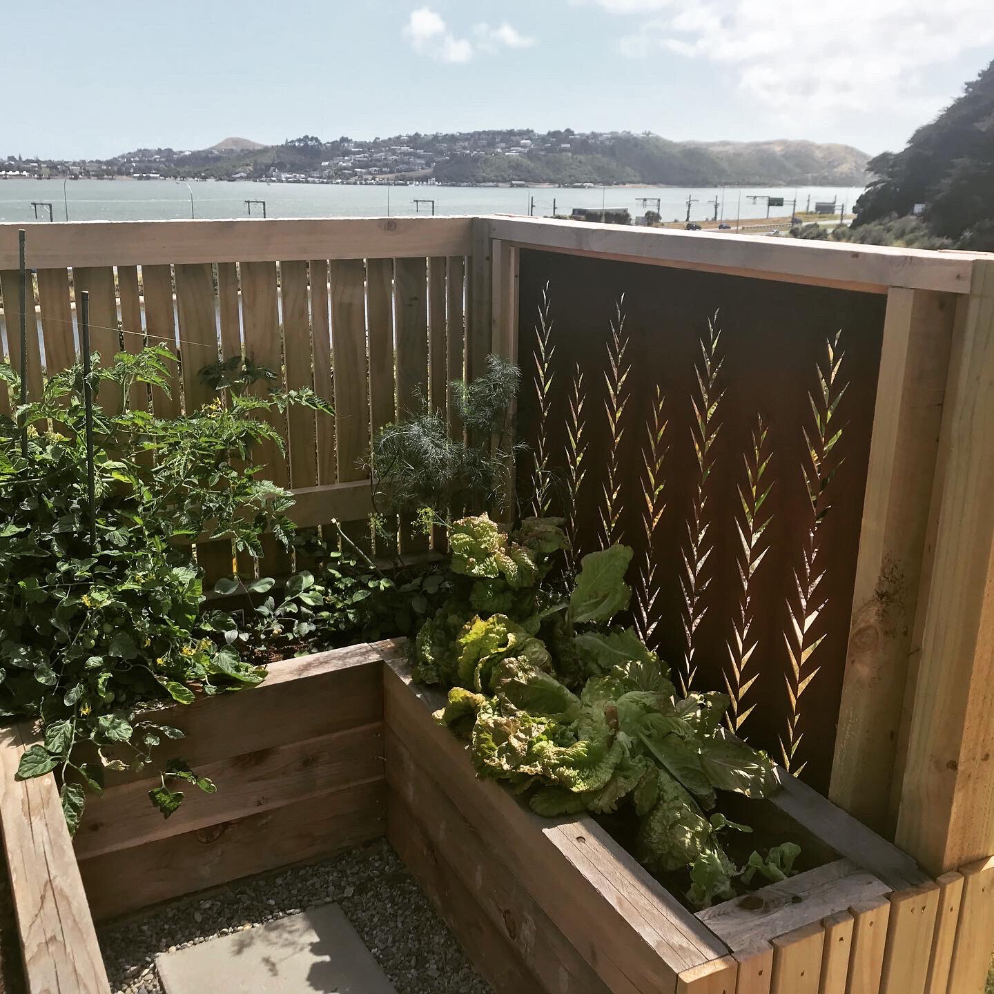 A Garden divider using a Corten Leaf Screen by Grounded Art NZ positioned behind raised wooden garden beds in New Zealand.