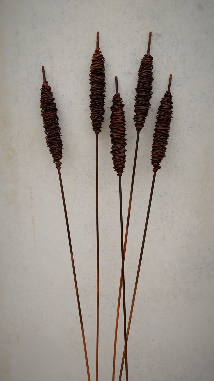 Large Rusty Raupo (Bulrushes) 1800mm - 2250mm