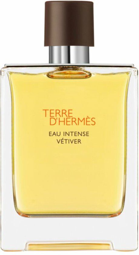Hermes Terre d&#39;Hermès Eau Intense Vetiver 100 ml - Eau de Parfum - Herenparfum