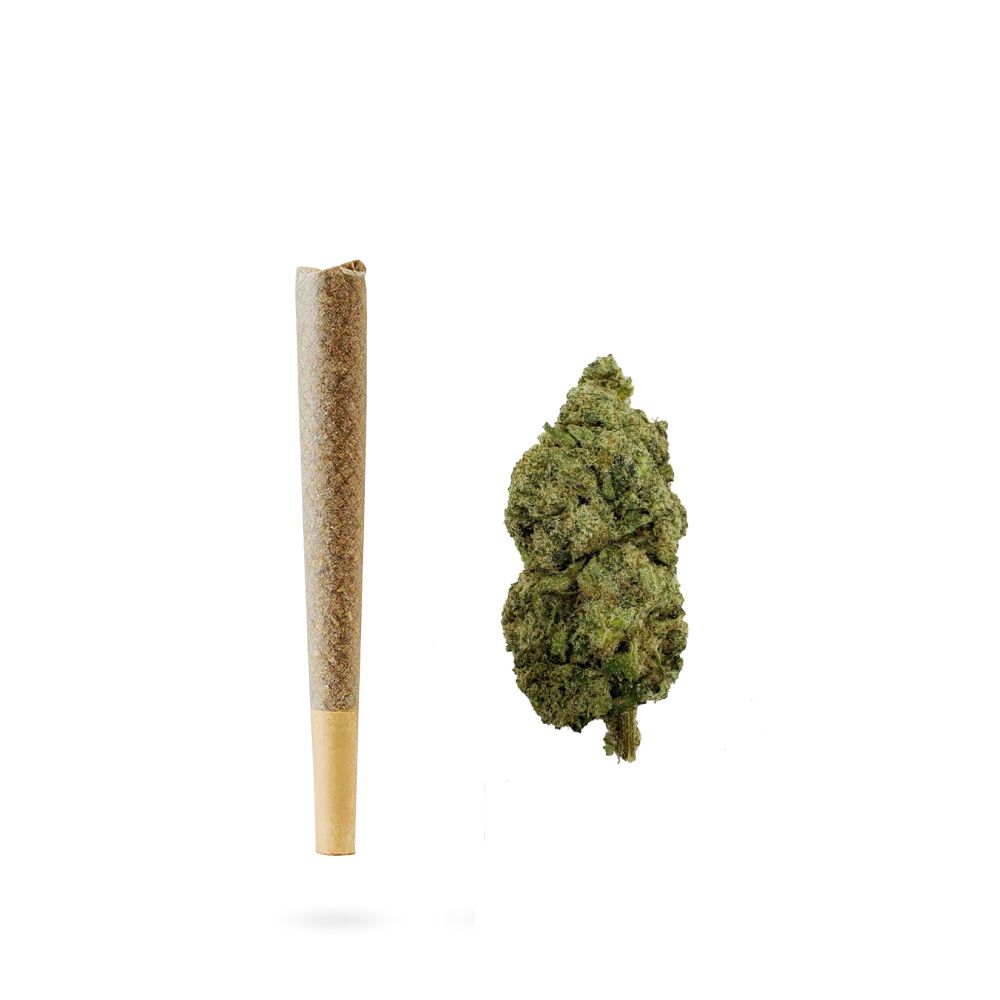 Key Lime Jack THCA Prerolls | 4-Pack