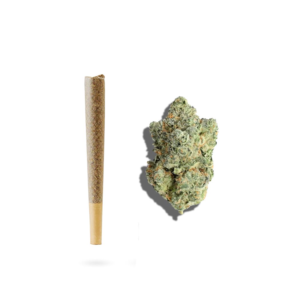 Moroccan Peaches THCA Prerolls | 4-Pack