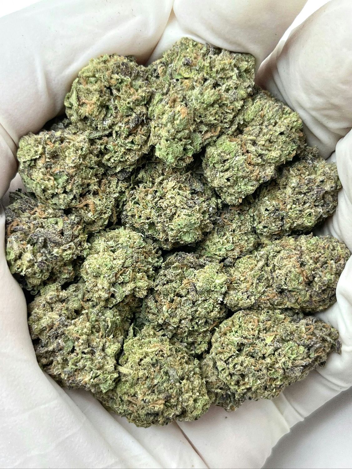 Lemon Cherry Sherbert
