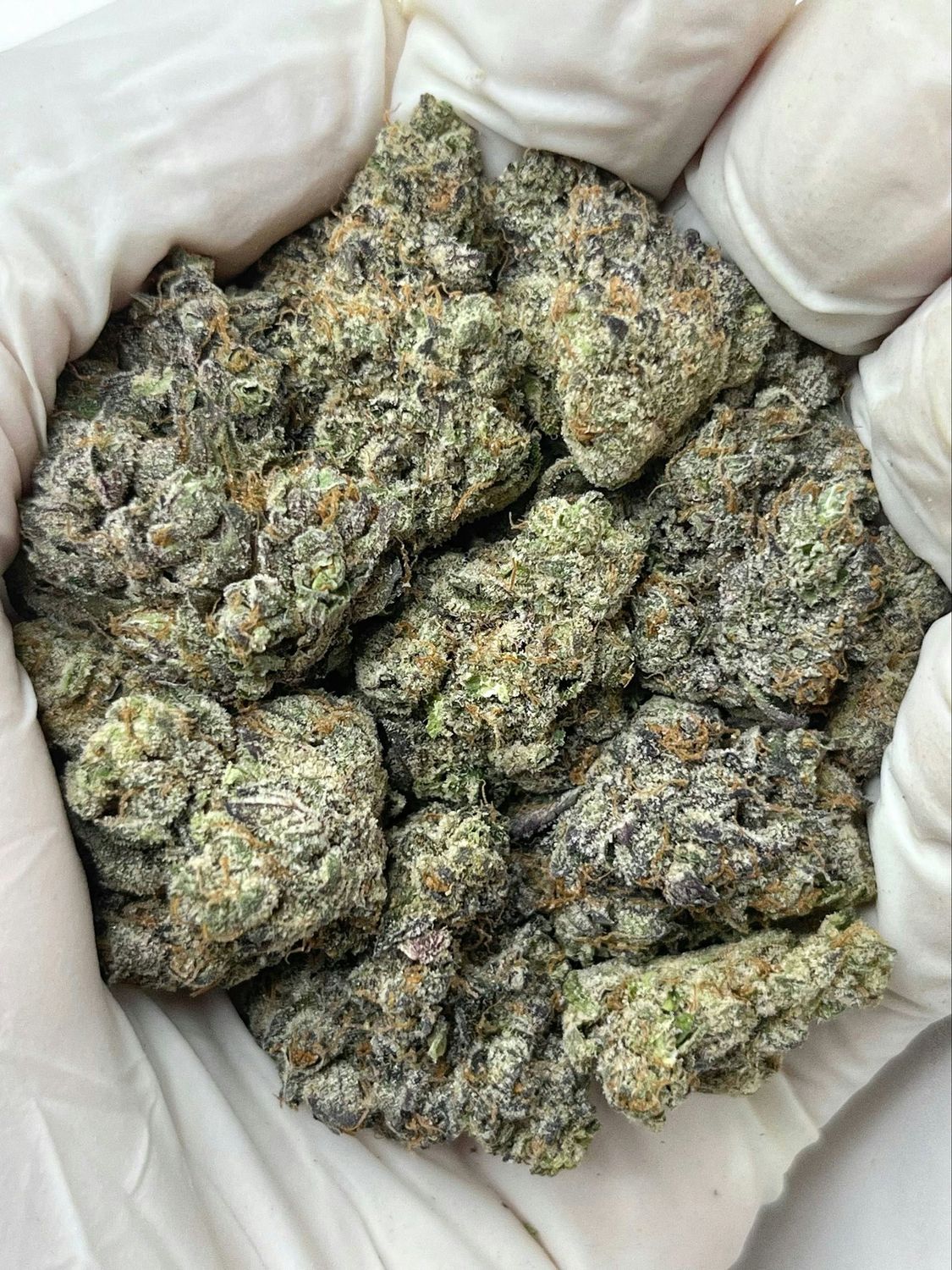 Purple Cream