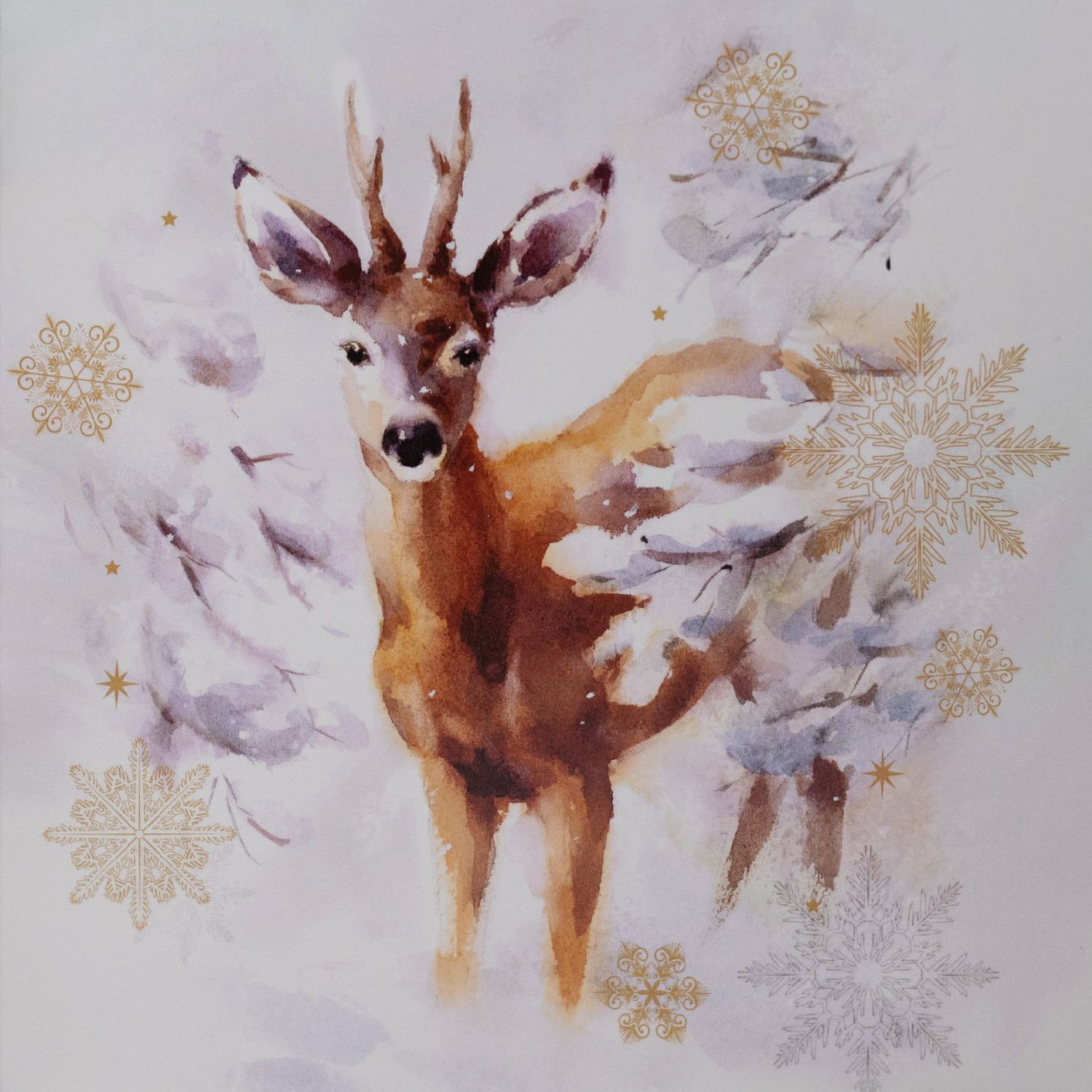 Cute Deer