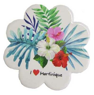 SOUS-VERRE MARTINIQUE - HIBISCUS RBR