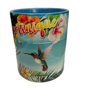 CHOPE BICOLORE MARTINIQUE - CIEL COLIBRI PLAGE