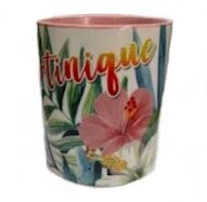 CHOPE BICOLORE MARTINIQUE - ROSE HIBISCUS RBR