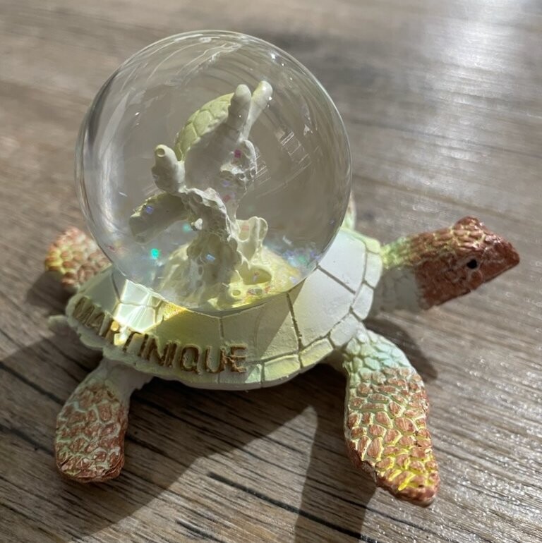 BOULE DE NEIGE TORTUE MOYEN