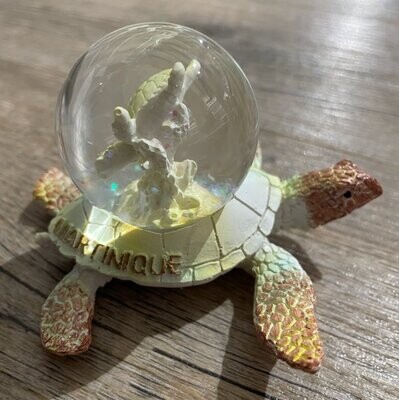 BOULE DE NEIGE TORTUE MOYEN