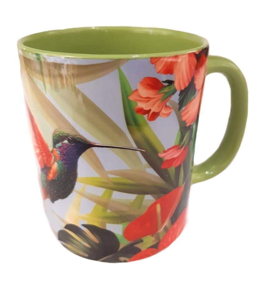 CHOPE BICOLORE MARTINIQUE - VERT COLIBRI AILE ROUGE