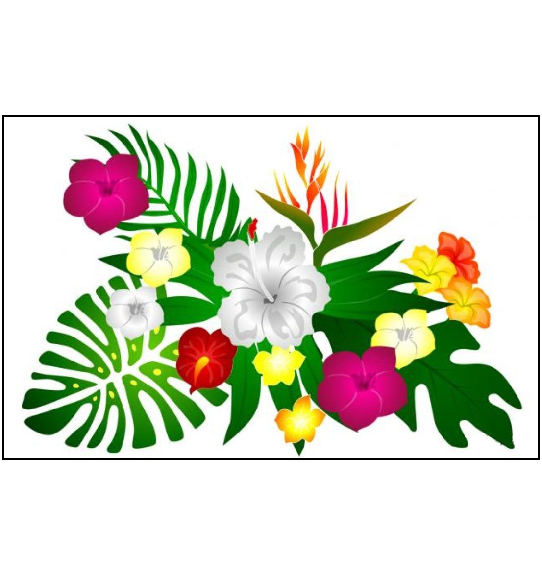 PAREO HIBISCUS+OISEAU DE PARADIS MARTINIQUE - BLANC