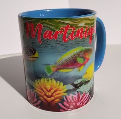 CHOPE BICOLORE MARTINIQUE - CIEL TORTUE NOUVEAU