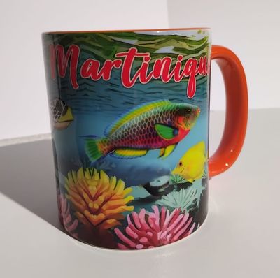 CHOPE BICOLORE MARTINIQUE - ORANGE TORTUE NOUVEAU