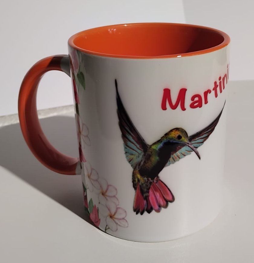 CHOPE BICOLORE MARTINIQUE - ORANGE COLIBRI 4 HIBISCUS