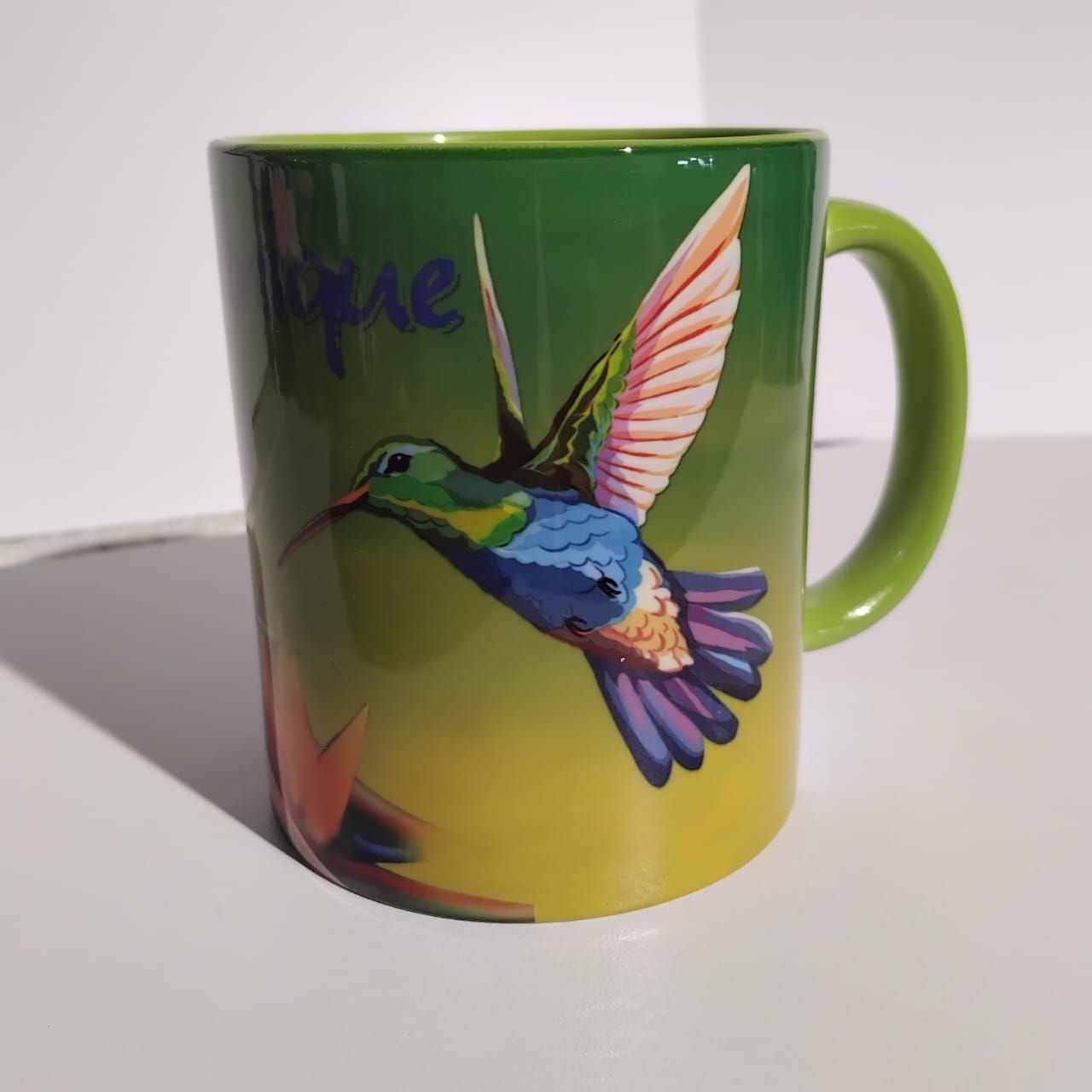 CHOPE BICOLORE MARTINIQUE - VERT COLIBRI FOND VERT