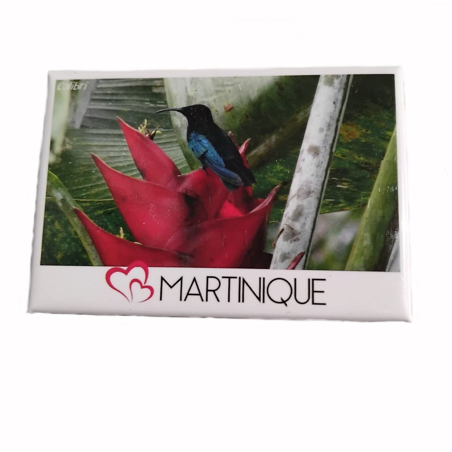 AIMANT VUE MARTINIQUE - COLIBRI