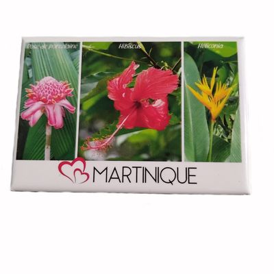 AIMANT VUE MARTINIQUE - 3 FLEURS