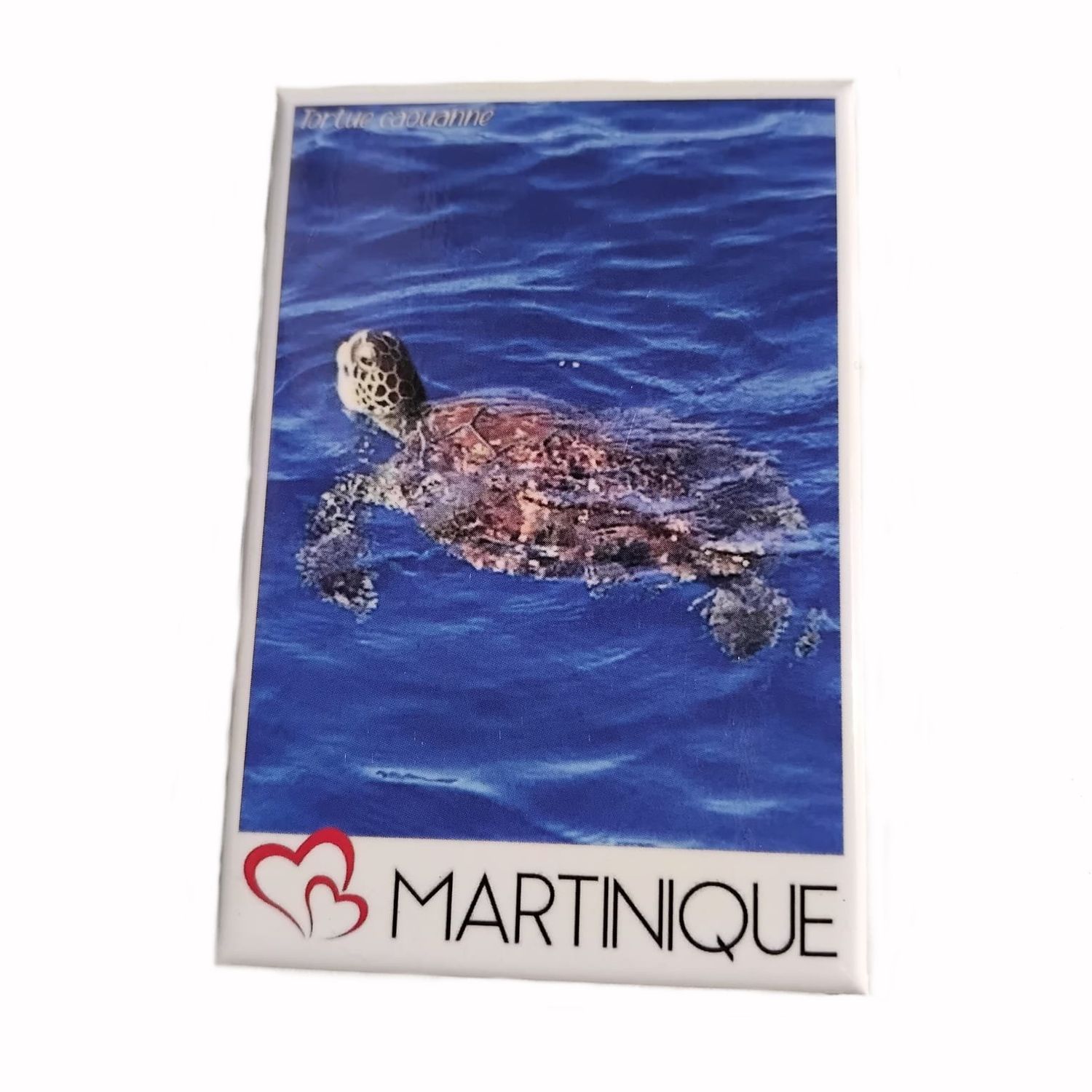 AIMANT VUE MARTINIQUE - TORTUE