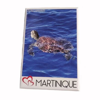 AIMANT VUE MARTINIQUE - TORTUE