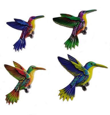 AIMANT COLIBRI
