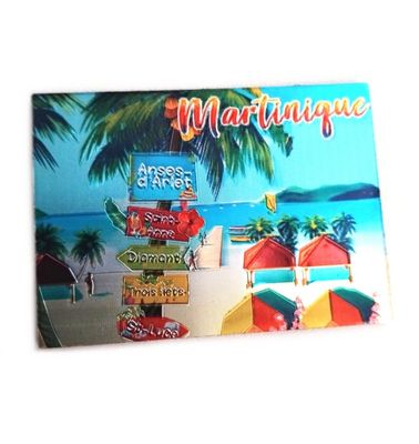 AIMANT RECTANGLE BRILLANT - TOTEM PONTON