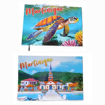 SET DE TABLE MARTINIQUE RECTO-VERSO - TORTUE NOUVEAU/ANSES D&#39;ARLET