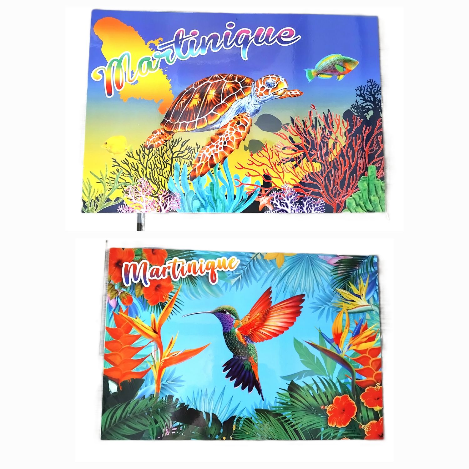 SET DE TABLE MARTINIQUE RECTO-VERSO - COLIBRI AILES ROUGES/TORTUE