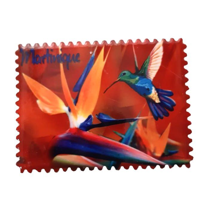 AIMANT MARTINIQUE CERAMIQUE RECTANGLE DENTELE - COLIBRI FOND ROUGE