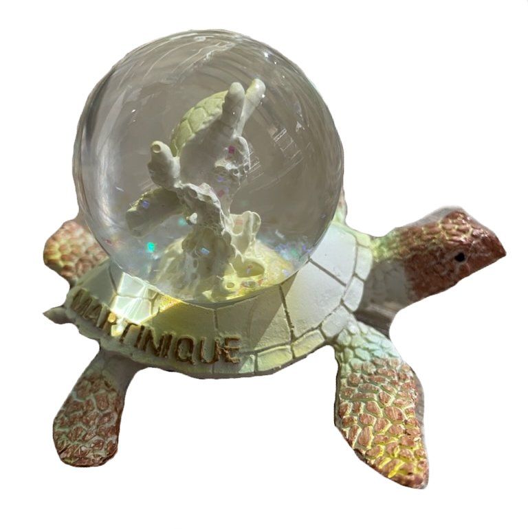 BOULE DE NEIGE TORTUE MOYEN