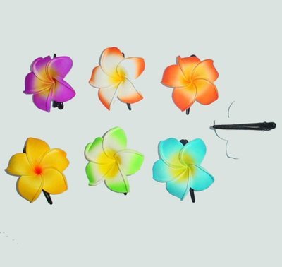 ومع ذلك المعدات مفقود Pince Fleur Cheveux Guadeloupe Harvardst Com